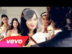 Katy Perry - Hot N Cold video