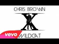 Chris Brown - Wildcat video
