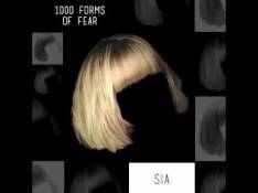 1000 Forms of Fear Sia - Burn The Pages video