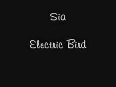 Some People Have Real Problems Sia - Electric Bird video