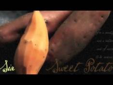 Colour the Small One Sia - Sweet Potato video