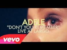 21 Adele - Don't You Remember video