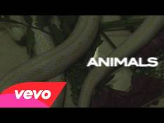 Maroon - Animals video
